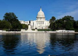 Restaurants in Washington DC, Thai Food in Washington DC