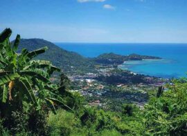 Thai Food in Koh Samui, Thai Restaurants in Koh Samui